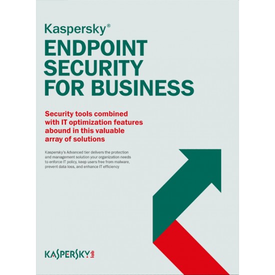 Kaspersky Endpoint Security for Business SELECT 2Ani